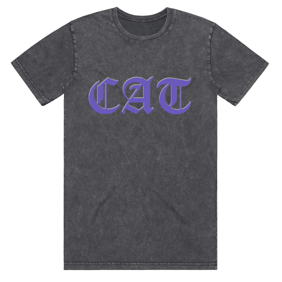 On The Road To Findout - 2025 Tour Vintage Cat T-Shirt