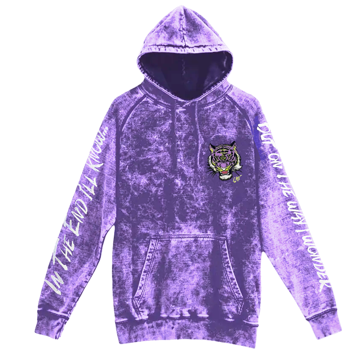 On The Road To Findout - 2025 Tour Hoodie