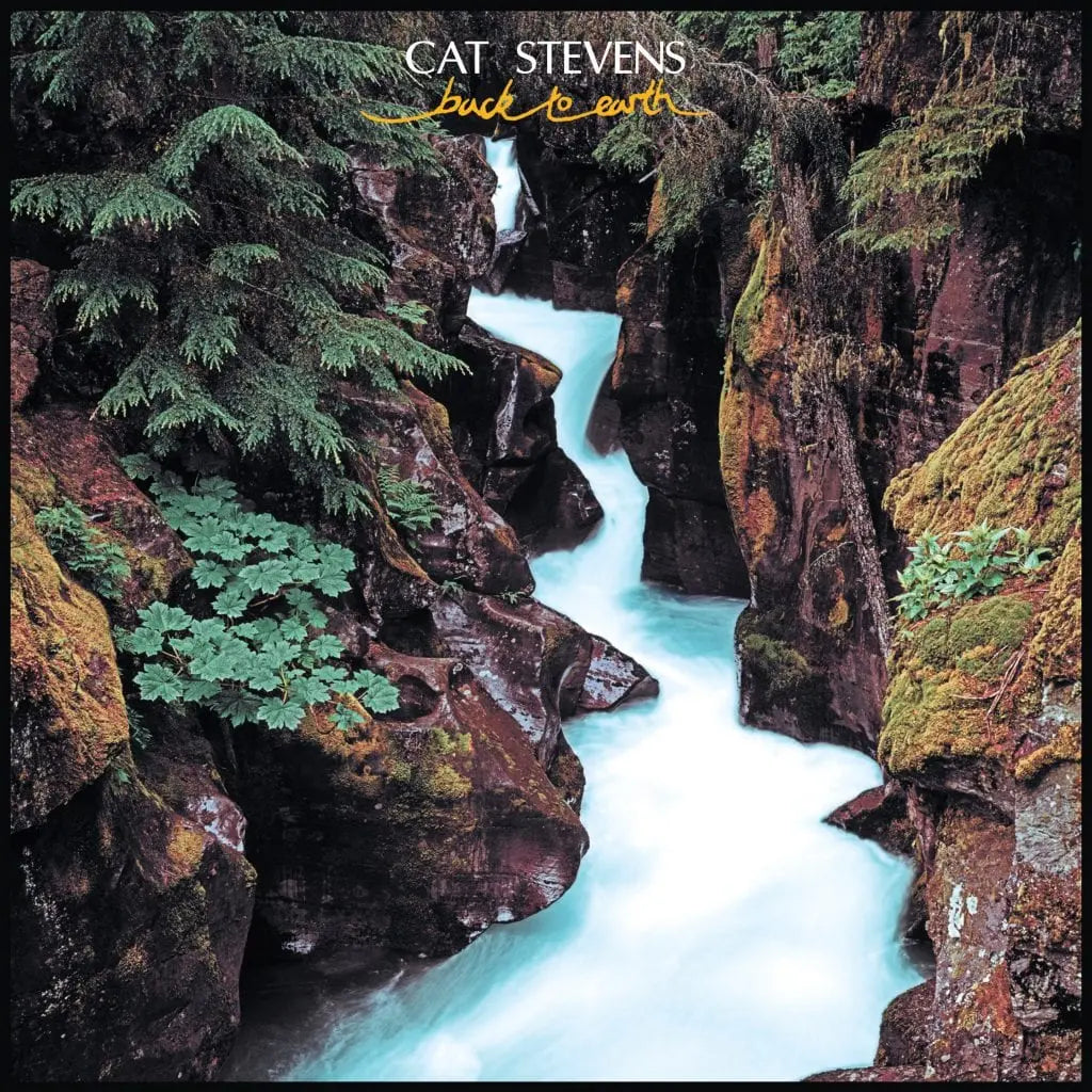 Back to Earth CD
