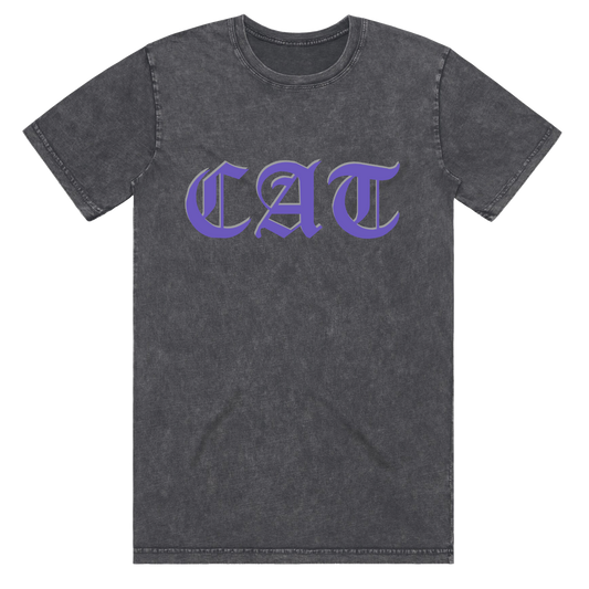 On The Road To Findout - 2025 Tour Vintage Cat T-Shirt