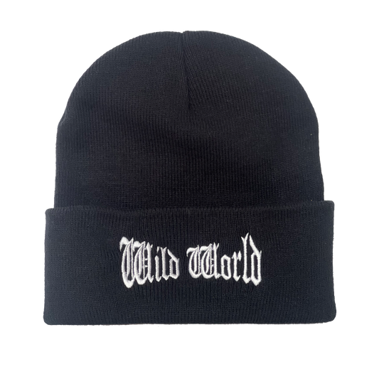 On The Road To Findout - 2025 Tour Wild World Beanie